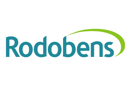 logo-2-emprestimo-rodobens